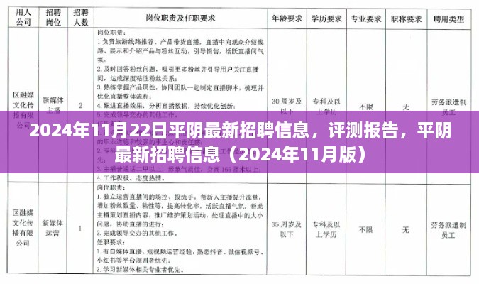 平阴最新招聘信息及评测报告（2024年11月版）全面更新