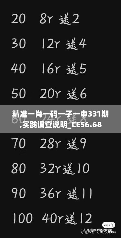 精准一肖一码一子一中331期,实践调查说明_CES6.68