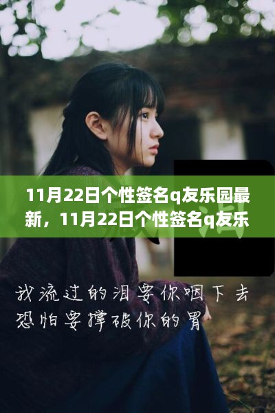 11月22日Q友乐园最新个性签名全面评测与介绍