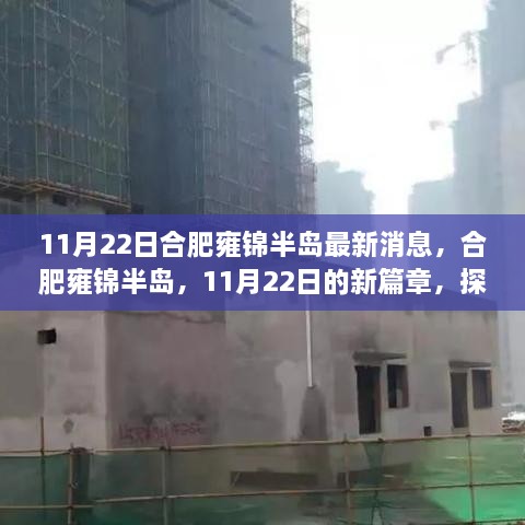 合肥雍锦半岛最新动态，探寻11月22日新篇章背后的故事