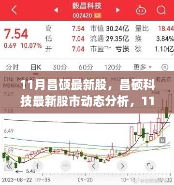 昌硕科技最新股市动态分析与观点探讨，揭秘其表现背后的秘密