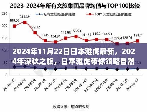 日本雅虎深秋之旅，探寻自然美景与内心宁静