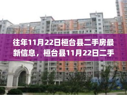 桓台县11月22日二手房最新信息及获取全攻略，入门到精通指南