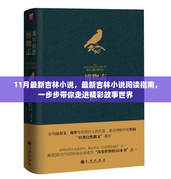 吉林小说阅读指南，带你走进精彩故事世界的最新指南（11月版）