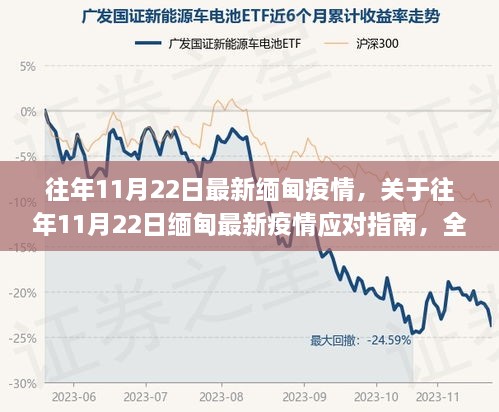 往年11月22日缅甸疫情最新动态与应对指南全解析