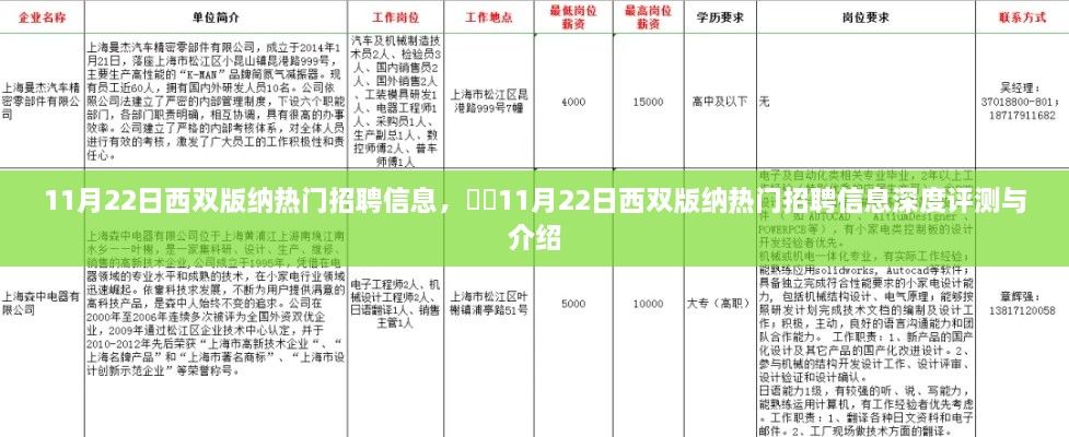 11月22日西双版纳热门招聘信息详解与评测