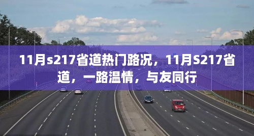 11月S217省道，路况热门，温情相伴的旅途与友同行