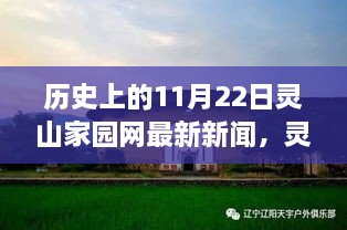 温馨时光里的新闻与友情故事，灵山家园网最新新闻报道发布历史回顾