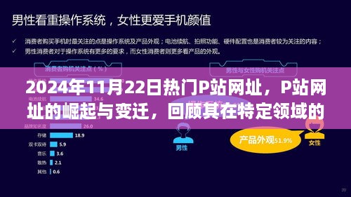 2024年视角下的P站网址，崛起、变迁与特定领域影响力回顾