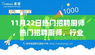 热门招聘厨师趋势与个人观点分析，11月22日行业洞察