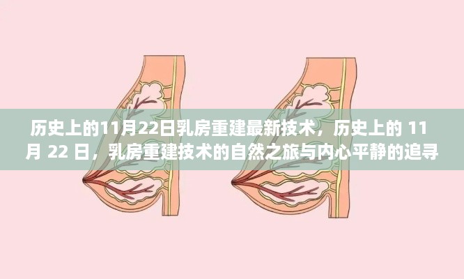 历史上的乳房重建技术革新之旅，自然追寻与内心平静的探寻之路（乳房重建最新技术篇）