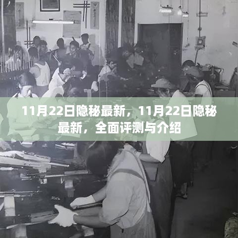 11月22日隐秘最新全面评测与介绍