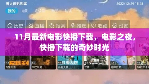 11月最新电影快播下载，电影之夜的奇妙时光