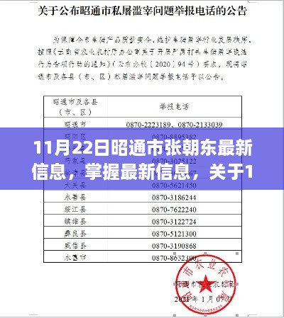 11月22日昭通市张朝东最新资讯获取指南