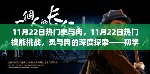 灵与肉深度探索与技能挑战，从初学者到进阶用户的实践指南（11月22日热门版）