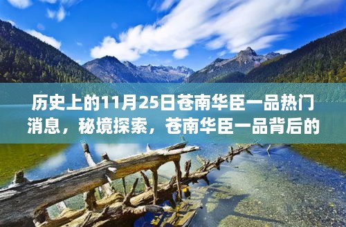 揭秘苍南华臣一品背后的故事，秘境探索与热门消息回顾——11月25日的独特风味