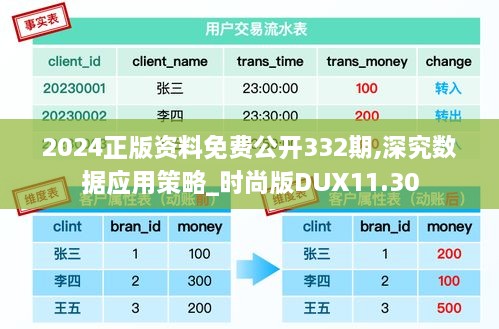 2024正版资料免费公开332期,深究数据应用策略_时尚版DUX11.30