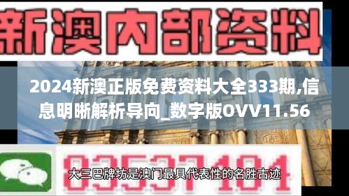 2024新澳正版免费资料大全333期,信息明晰解析导向_数字版OVV11.56