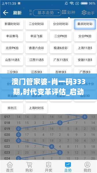 澳门管家婆-肖一码333期,时代变革评估_启动版WVK11.24