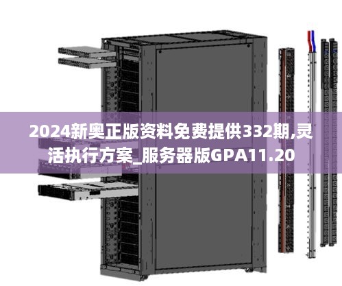 2024新奥正版资料免费提供332期,灵活执行方案_服务器版GPA11.20