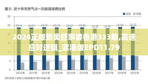 2024正版新奥管家婆香港333期,高速应对逻辑_紧凑版EPD11.79