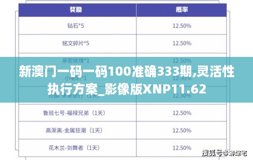 新澳门一码一码100准确333期,灵活性执行方案_影像版XNP11.62