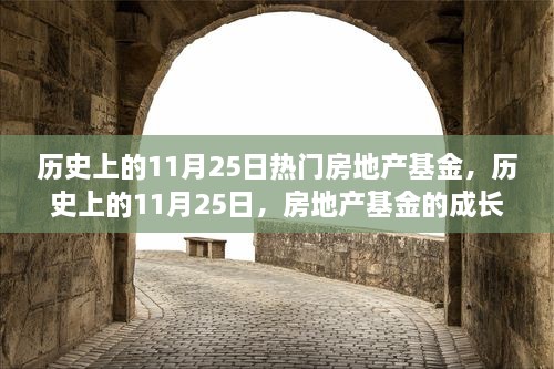 历史上的11月25日，房地产基金的成长之路与自信成就之光点燃之路