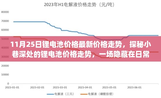 探秘日常中的惊喜之旅，锂电池价格最新走势深度解析