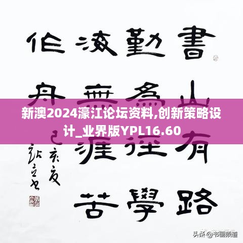 新澳2024濠江论坛资料,创新策略设计_业界版YPL16.60