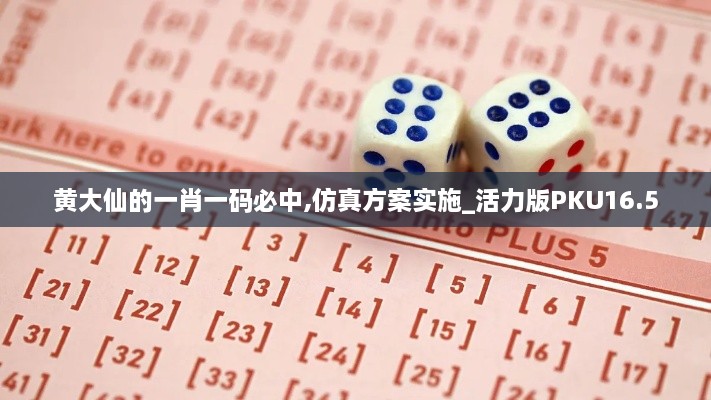 黄大仙的一肖一码必中,仿真方案实施_活力版PKU16.5