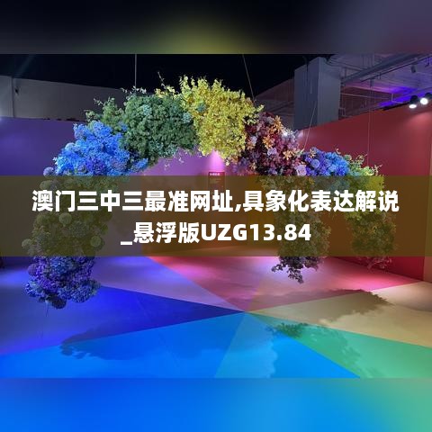 澳门三中三最准网址,具象化表达解说_悬浮版UZG13.84