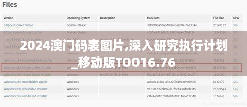 2024澳门码表图片,深入研究执行计划_移动版TOO16.76