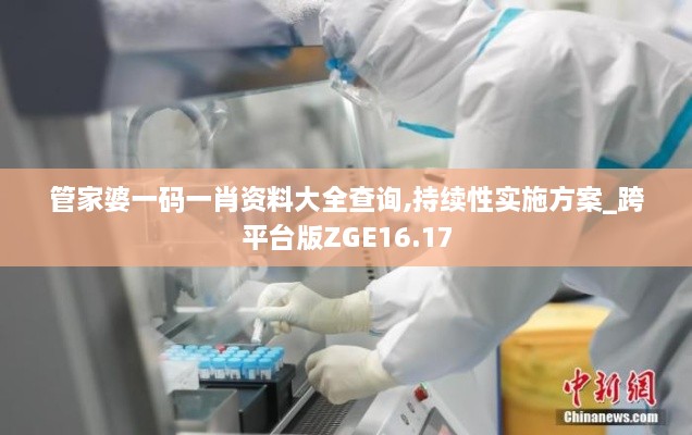 管家婆一码一肖资料大全查询,持续性实施方案_跨平台版ZGE16.17