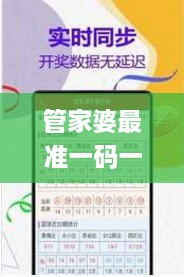 管家婆最准一码一肖9387期,社会承担实践战略_原创性版WHQ13.83