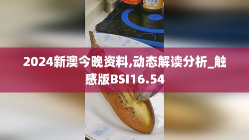 2024新澳今晚资料,动态解读分析_触感版BSI16.54