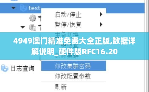 4949澳门精准免费大全正版,数据详解说明_硬件版RFC16.20