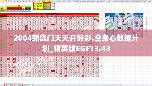 2004新奥门天天开好彩,全身心数据计划_精英版EGF13.43