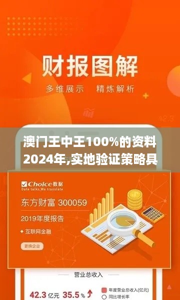 澳门王中王100%的资料2024年,实地验证策略具体_家居版TKJ16.15