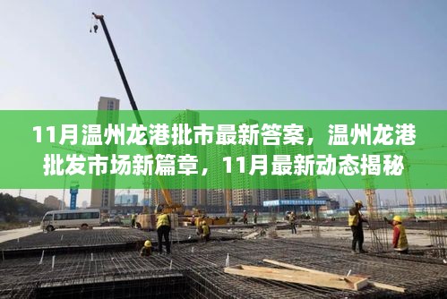 揭秘温州龙港批发市场新动态，11月最新篇章重磅更新