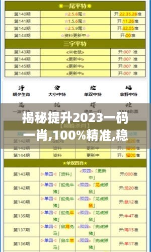 揭秘提升2023一码一肖,100%精准,稳固执行方案计划_模块版LXY13.45