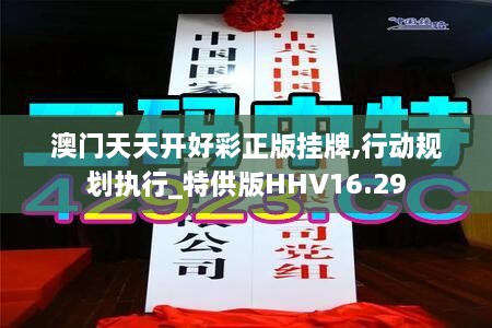 澳门天天开好彩正版挂牌,行动规划执行_特供版HHV16.29