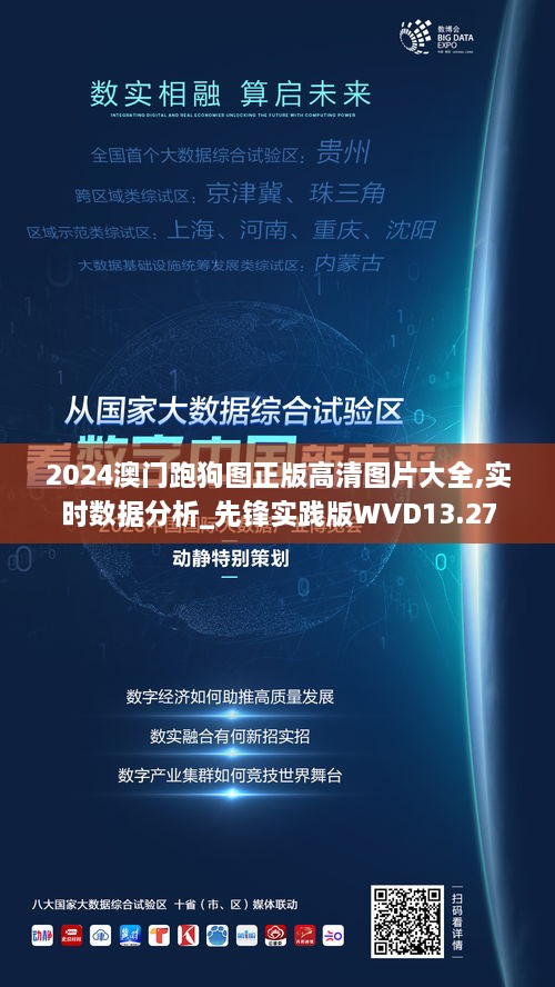 2024澳门跑狗图正版高清图片大全,实时数据分析_先锋实践版WVD13.27