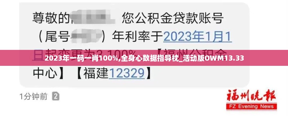 2023年一码一肖100%,全身心数据指导枕_活动版OWM13.33