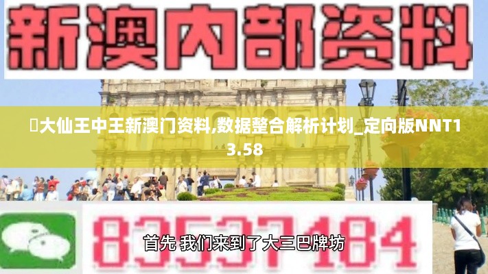 黃大仙王中王新澳门资料,数据整合解析计划_定向版NNT13.58