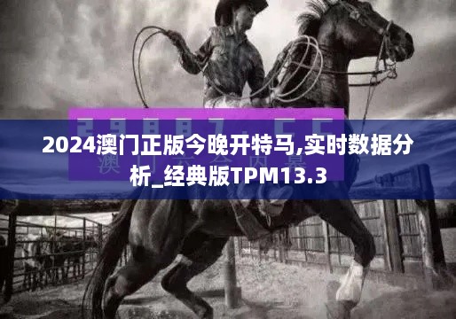 2024澳门正版今晚开特马,实时数据分析_经典版TPM13.3