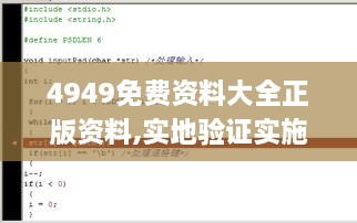 4949免费资料大全正版资料,实地验证实施_启动版RGA16.99