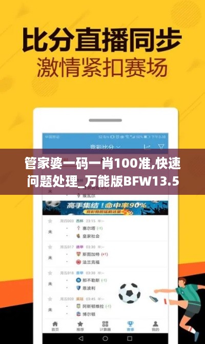 管家婆一码一肖100准,快速问题处理_万能版BFW13.5