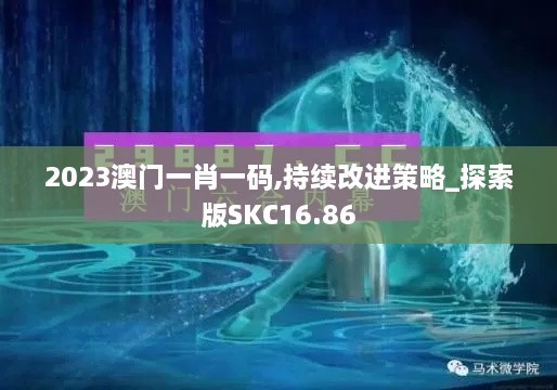 2023澳门一肖一码,持续改进策略_探索版SKC16.86