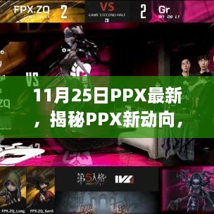 11月25日PPX最新，揭秘PPX新动向，11月25日PPX最新进展概览