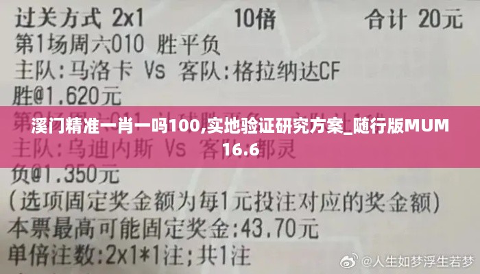 溪门精准一肖一吗100,实地验证研究方案_随行版MUM16.6